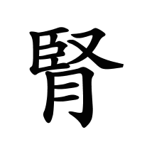 腎的筆畫