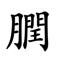 膶的筆畫