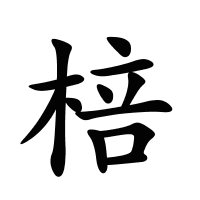 棓?shù)墓P畫