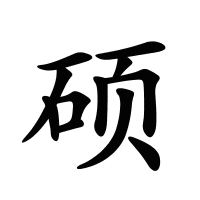 碩的筆畫